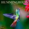 Hummingbirds | 2026 12 x 24 Inch (Hanging) Monthly Square Wall Calendar | Foil Stamped Cover